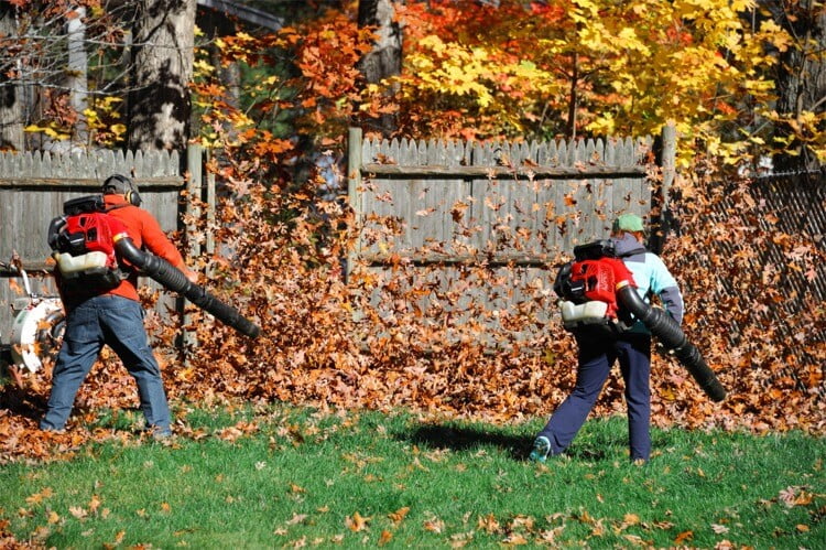 fall-clean-up-raking