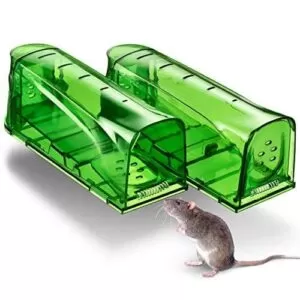 Get Rid Of Mice When Mice Traps Dont Work